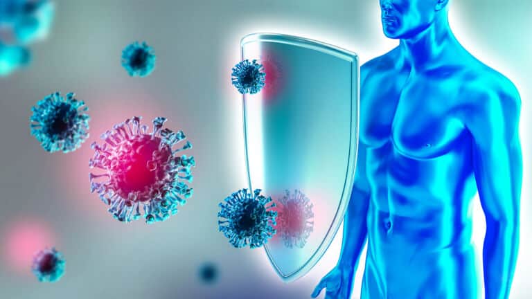 immune system