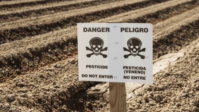 pesticides