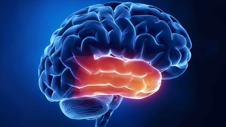 epilepsy