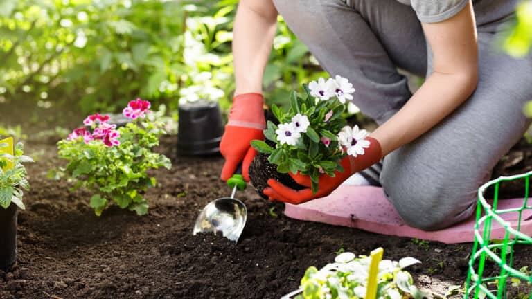 gardening