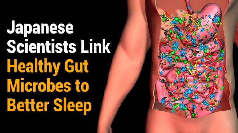 gut microbes