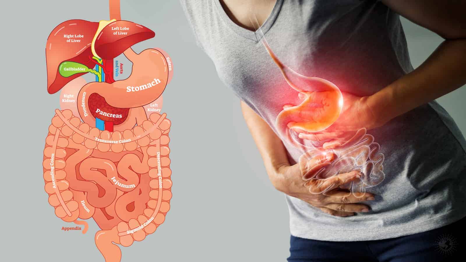 Science Reveals 15 Habits for Better Digestion