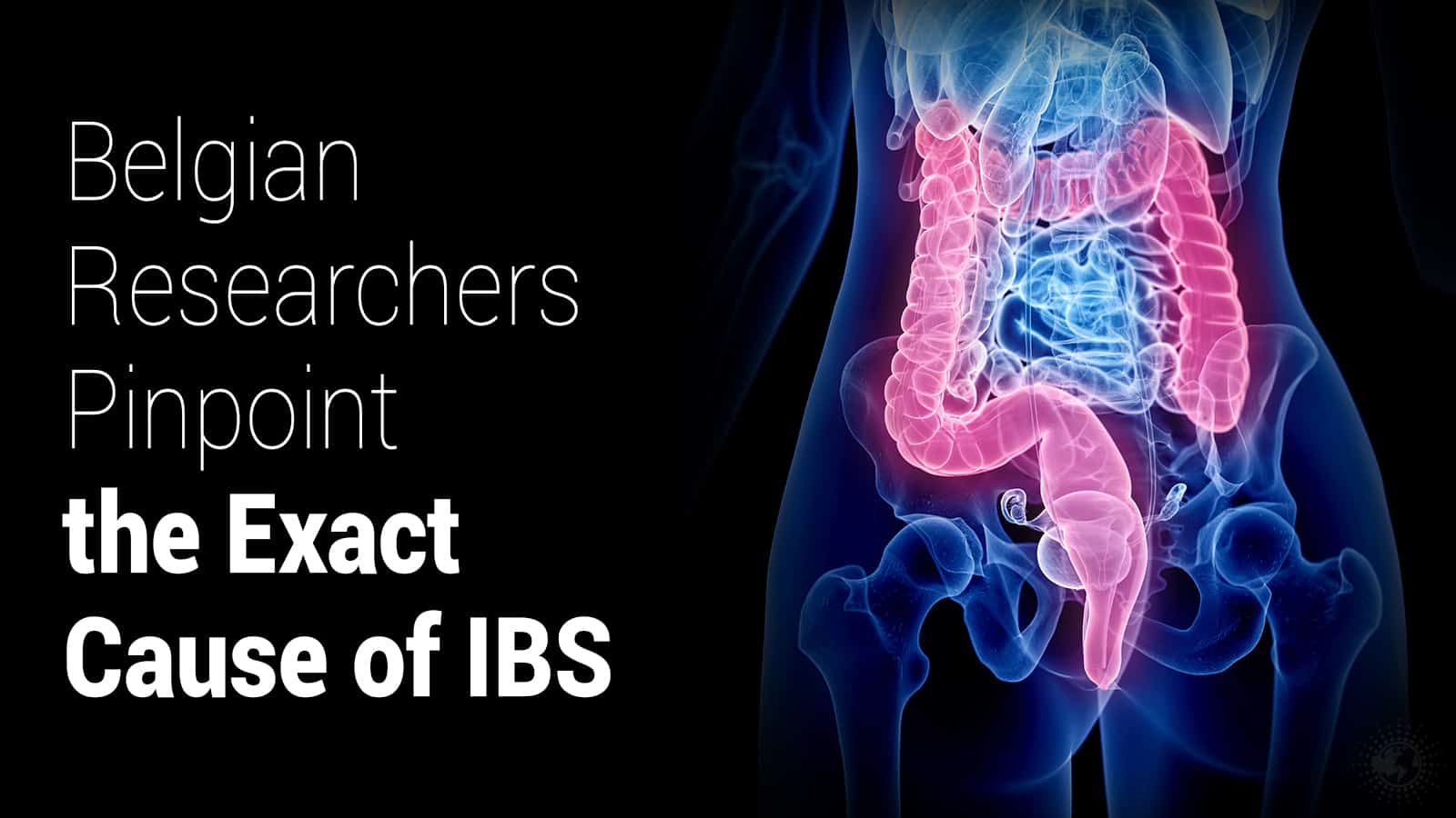 Belgian Researchers Pinpoint the Exact Cause of IBS