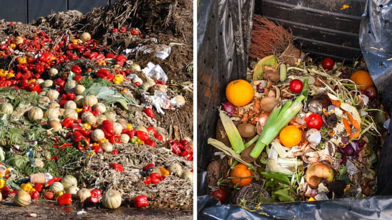 food waste