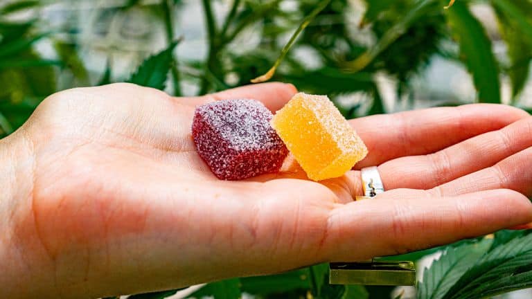 immunity gummies