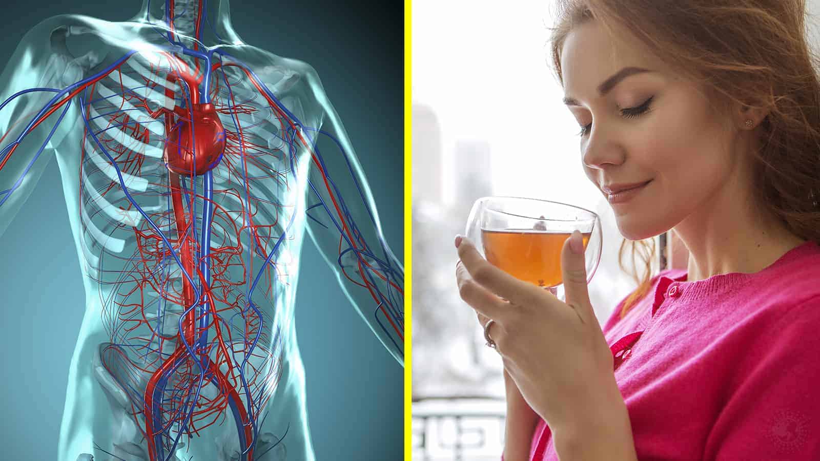 UC Irvine Study Reveals Drinking Tea Reduces Blood Pressure And Improves Health
