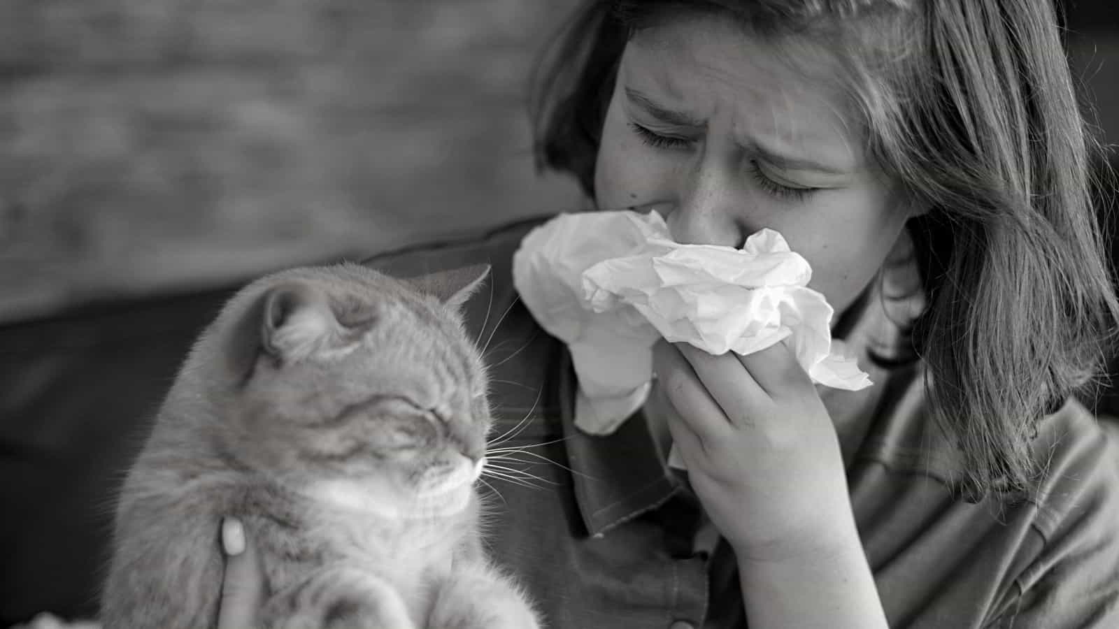 European Immunologists Reveal an Effective New Cat Allergy Treatment 