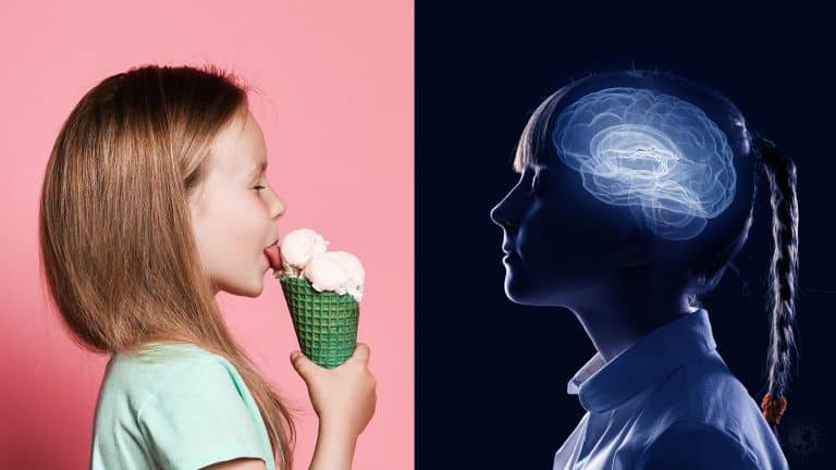 brain development