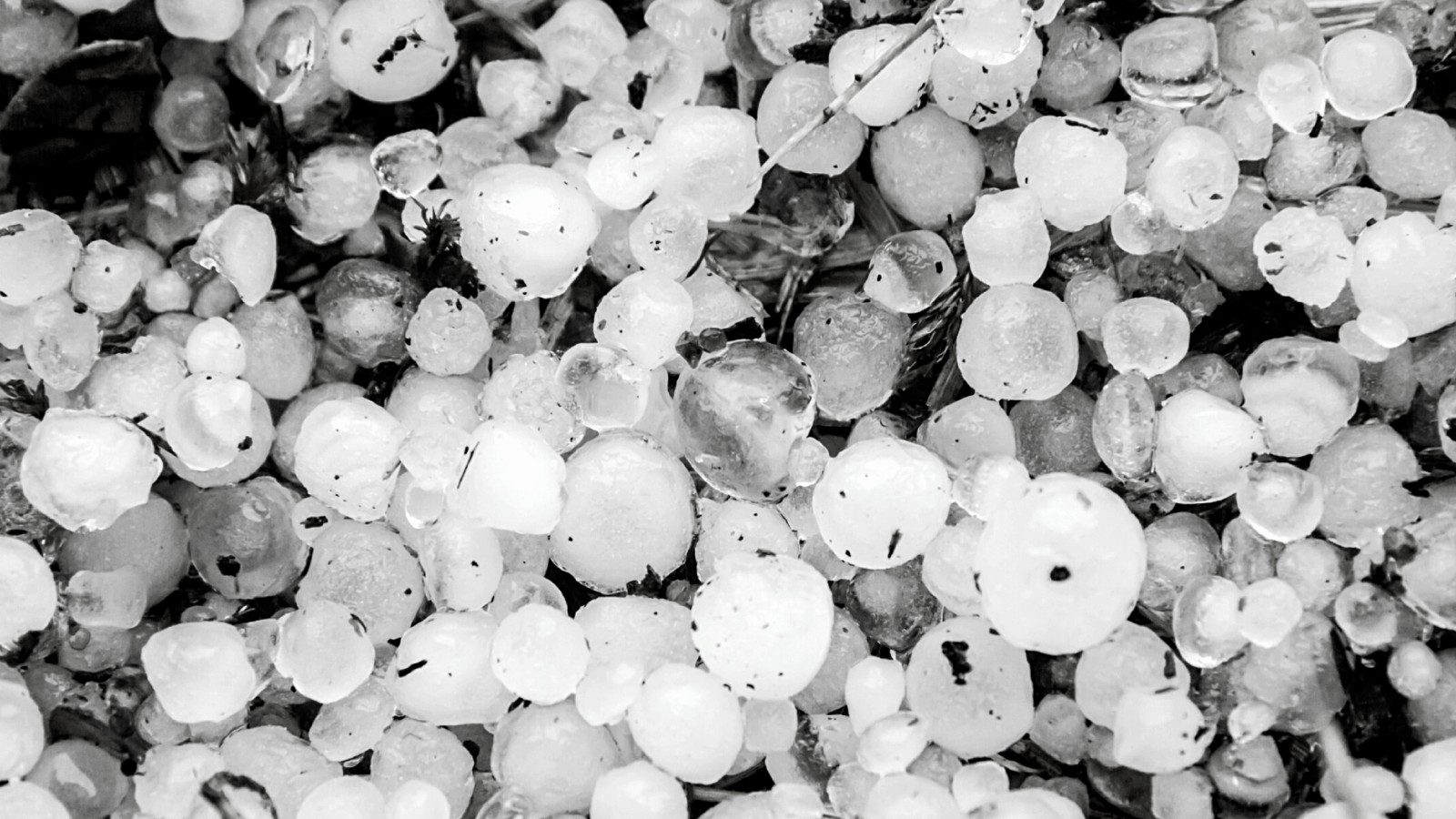 Welsh Study Explains How Climate Change Increases Hailstorms