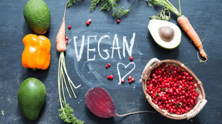 vegan lifestyle