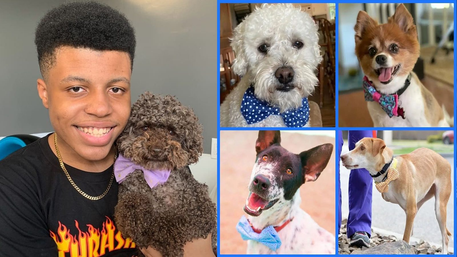 Kind Teen Makes Cute Pet Bowties to Help Shelter Dogs Find Homes