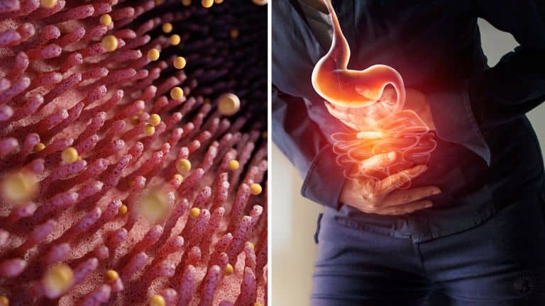 poor digestion