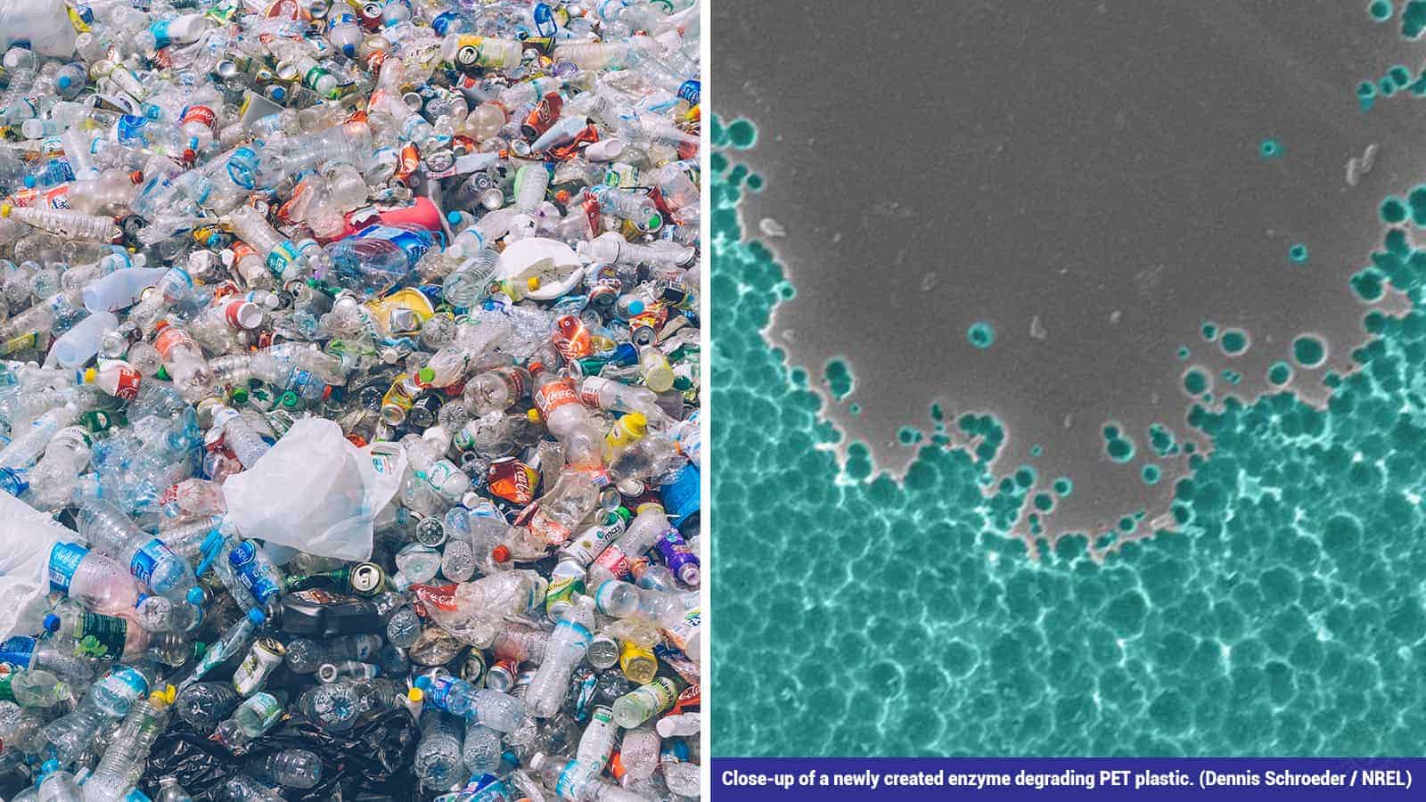 Researchers Make an Enzyme to Break Down Plastic in Just a Few Days