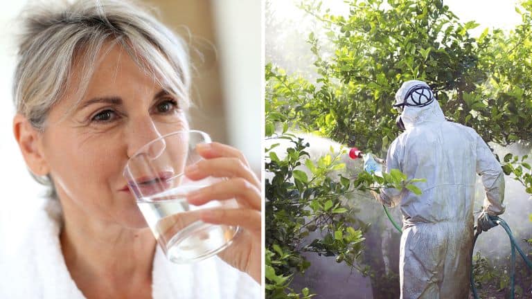 pesticides in water