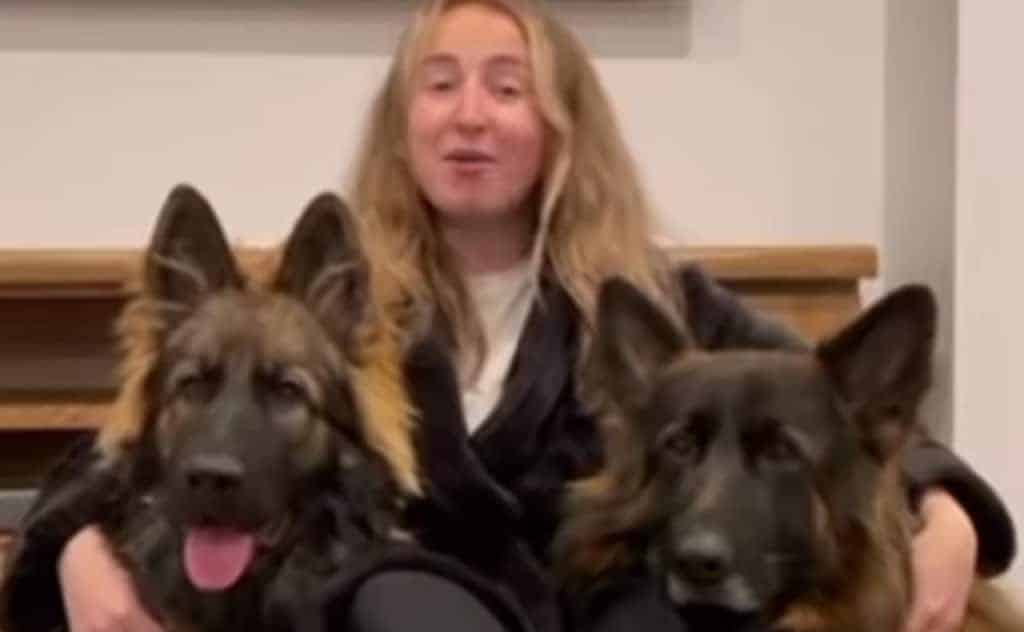 These Are The Most Disciplined German Shepherds You’ve Ever Seen