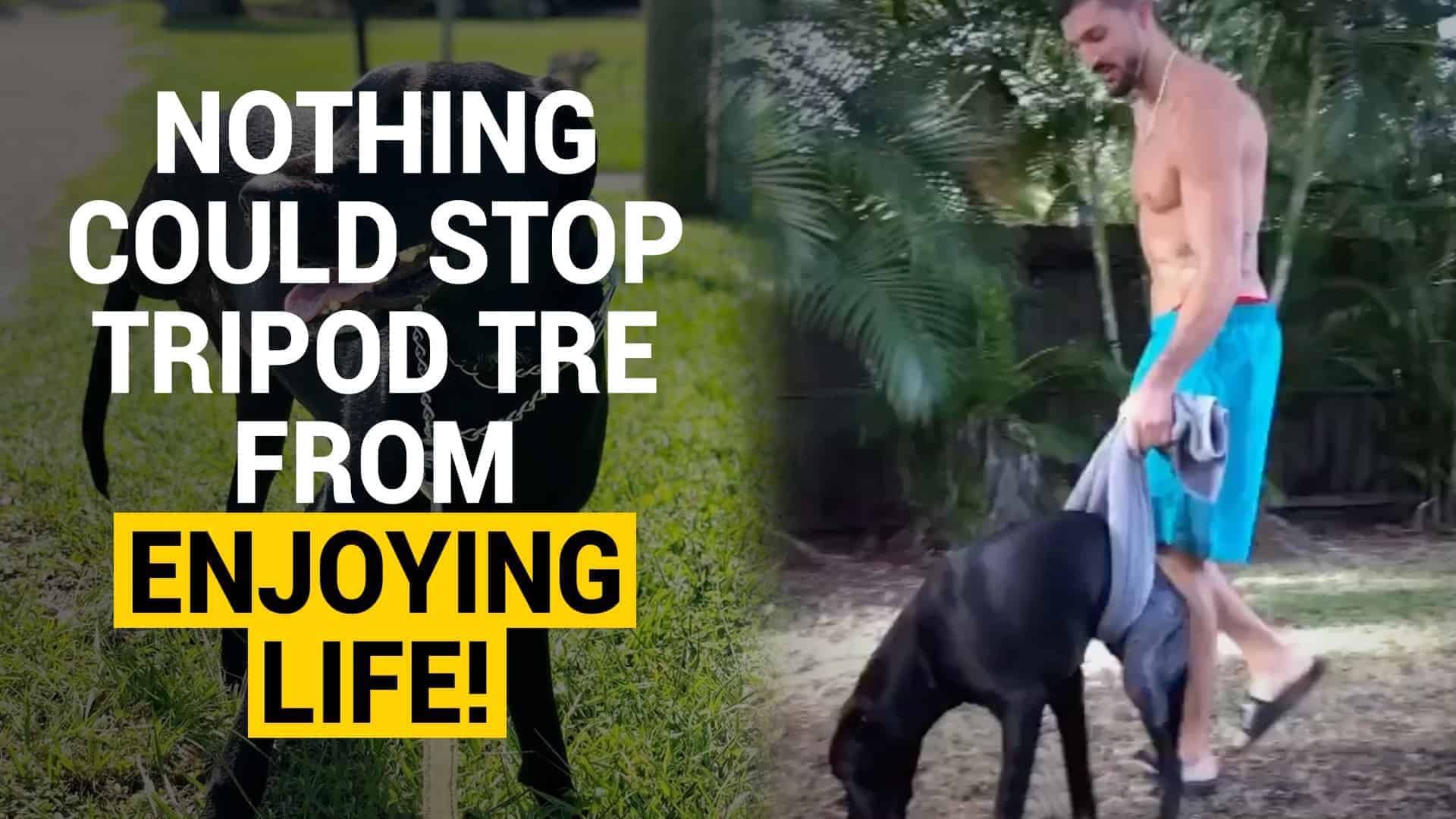 Man Adopts Three-legged Dog and Became Inspired Himself