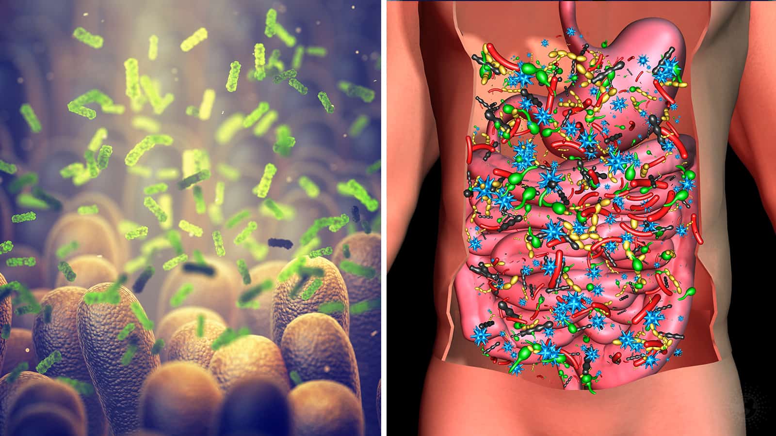 Researchers Discover Over 142,000 Virus Species in the Gut Microbiome