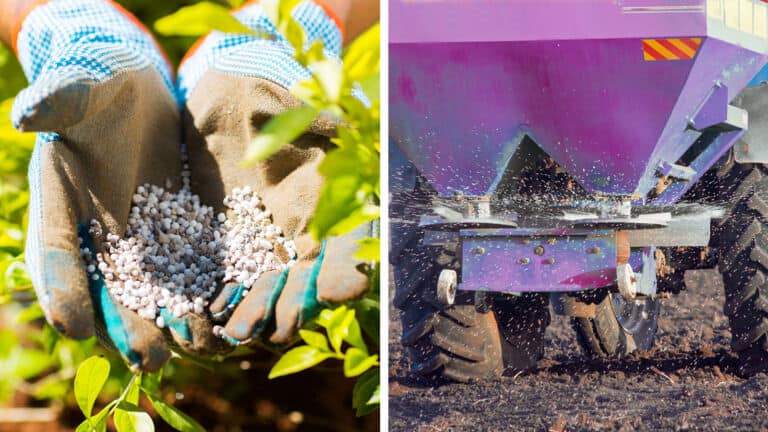 green fertilizer