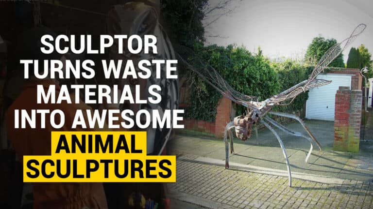 animal sculptures