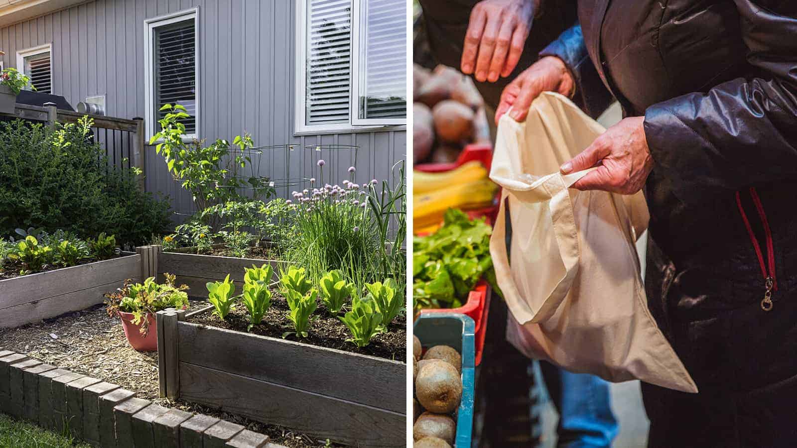 15 Habits That Help Make a More Sustainable Planet