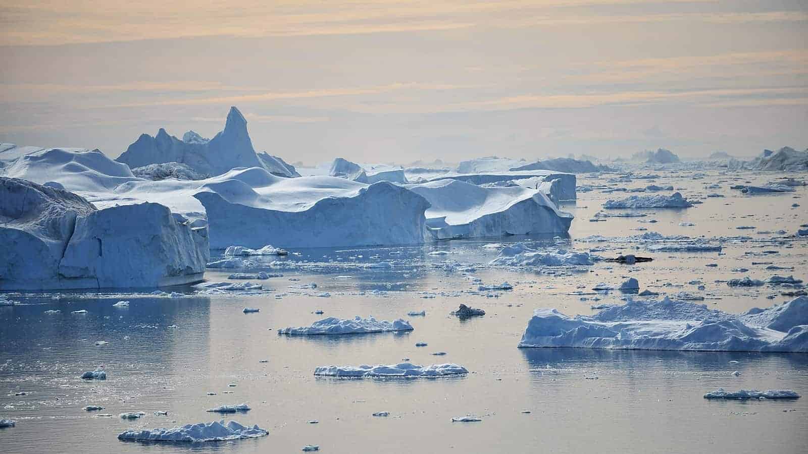 Polar Ecosystem Coming Under Threat From Climate Change