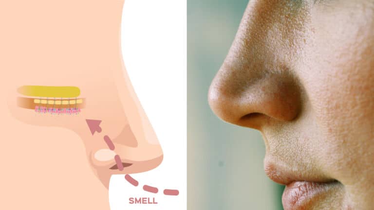 smell danger