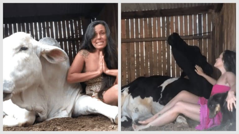 rescuing animals