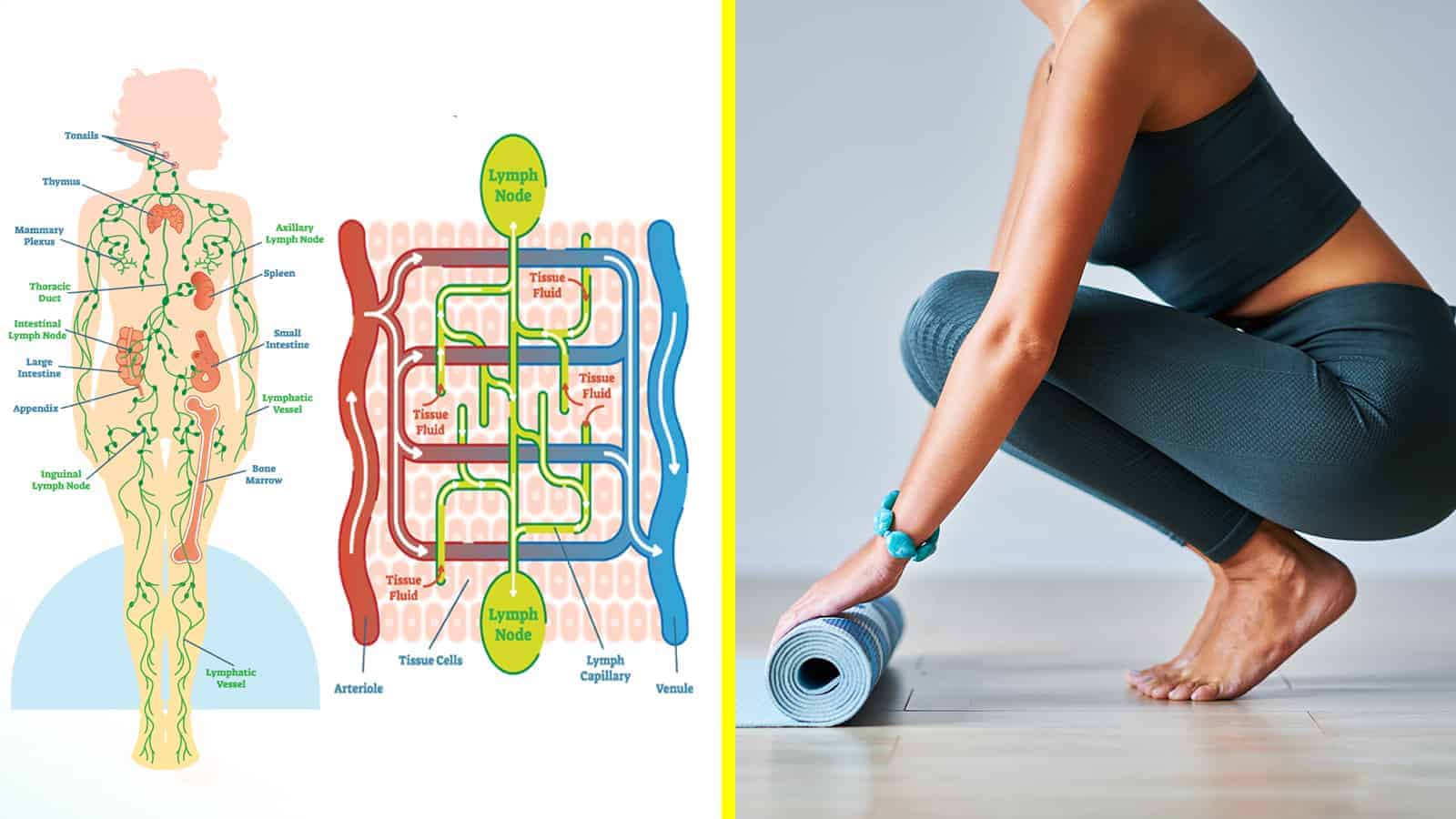 11 Stretches That Drain Your Lymphatic System and Improve Lymph Flow