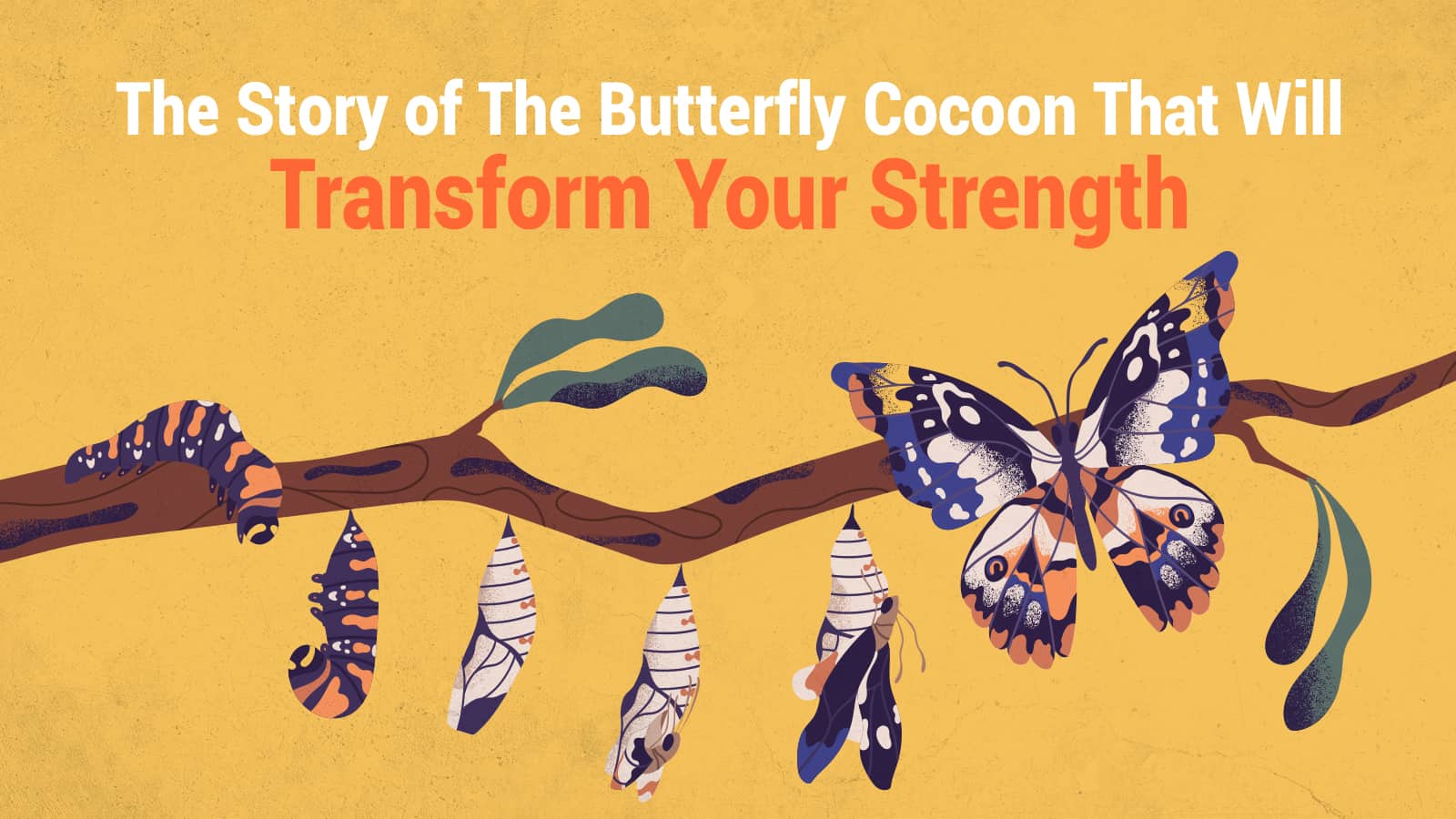The Story of The Butterfly Cocoon That Will Transform Your Strength