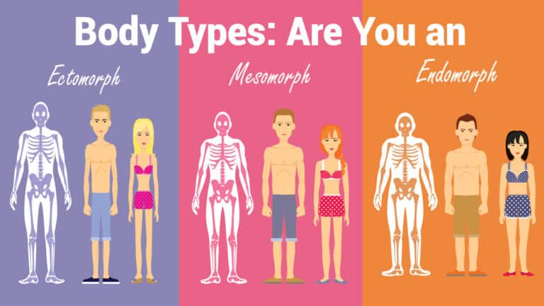 body types