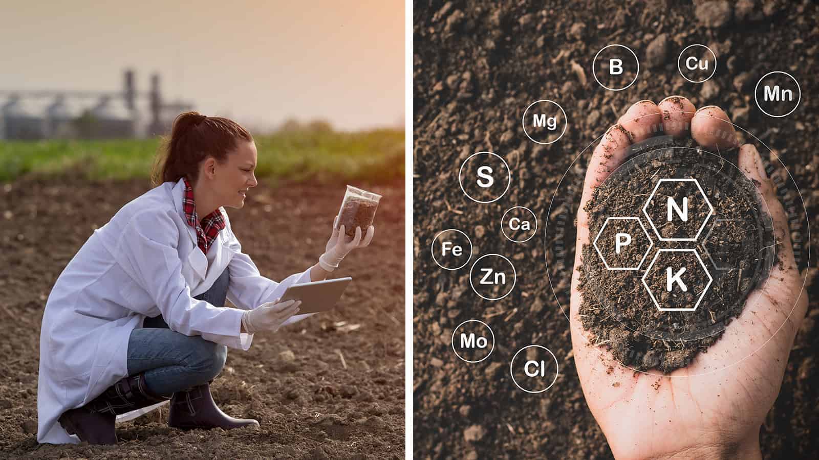 Soil Sensors Using AI Can Help Reduce Fertilizer Use on Farms 