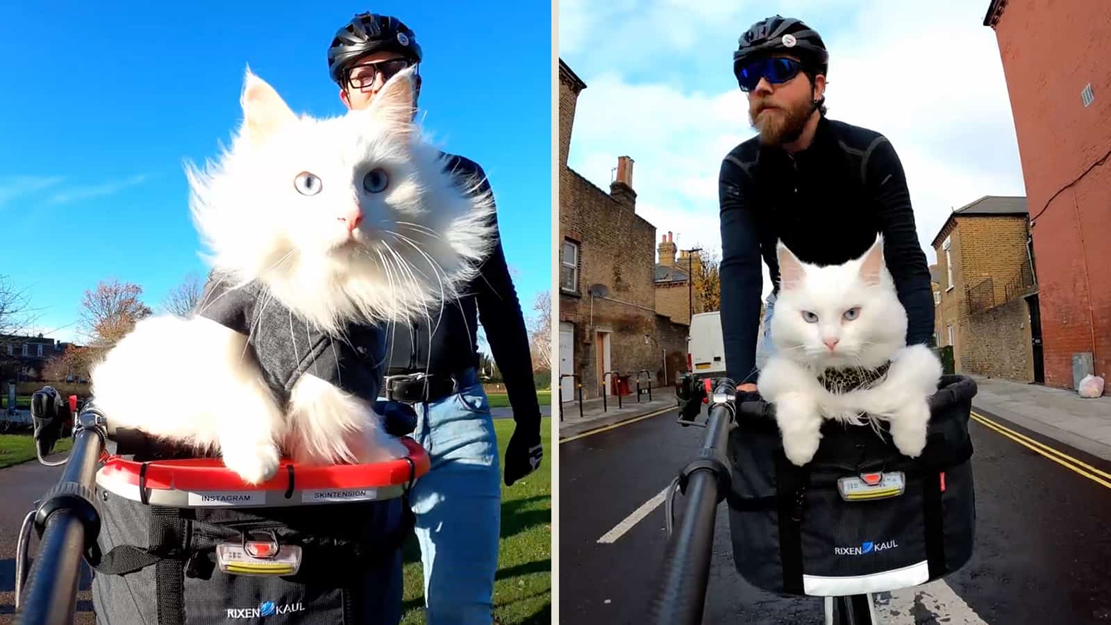 Bike Riding Cat Loves Nothing More Than Going for a Spin