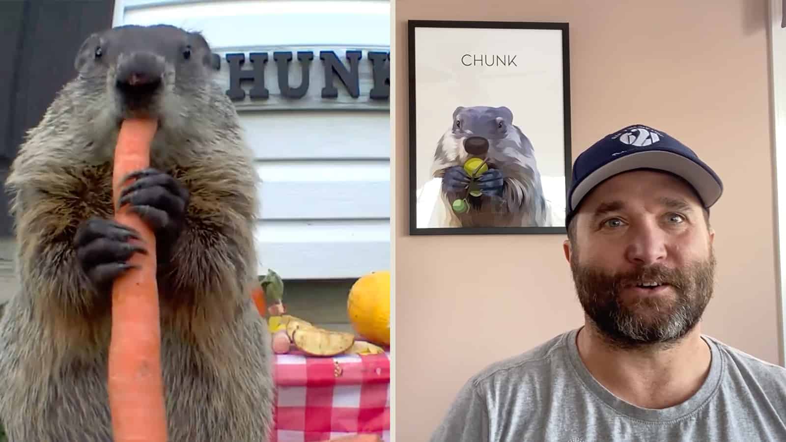 Kind Man Grows a Vegetable Garden for His Groundhog Buddy