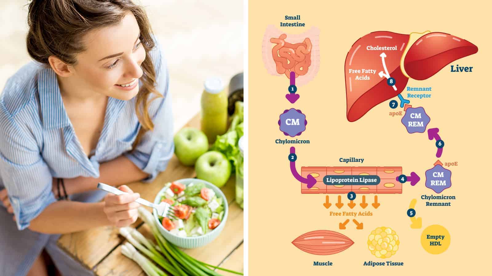 Science Explains How a Healthy Diet is the Best for Metabolism