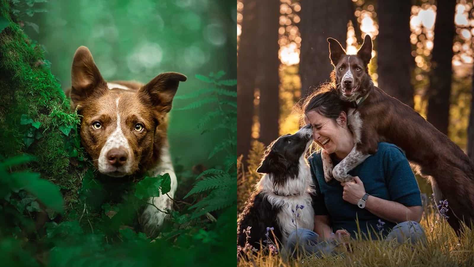 Adventure Lover Takes Pet Photography to a Whole New Level
