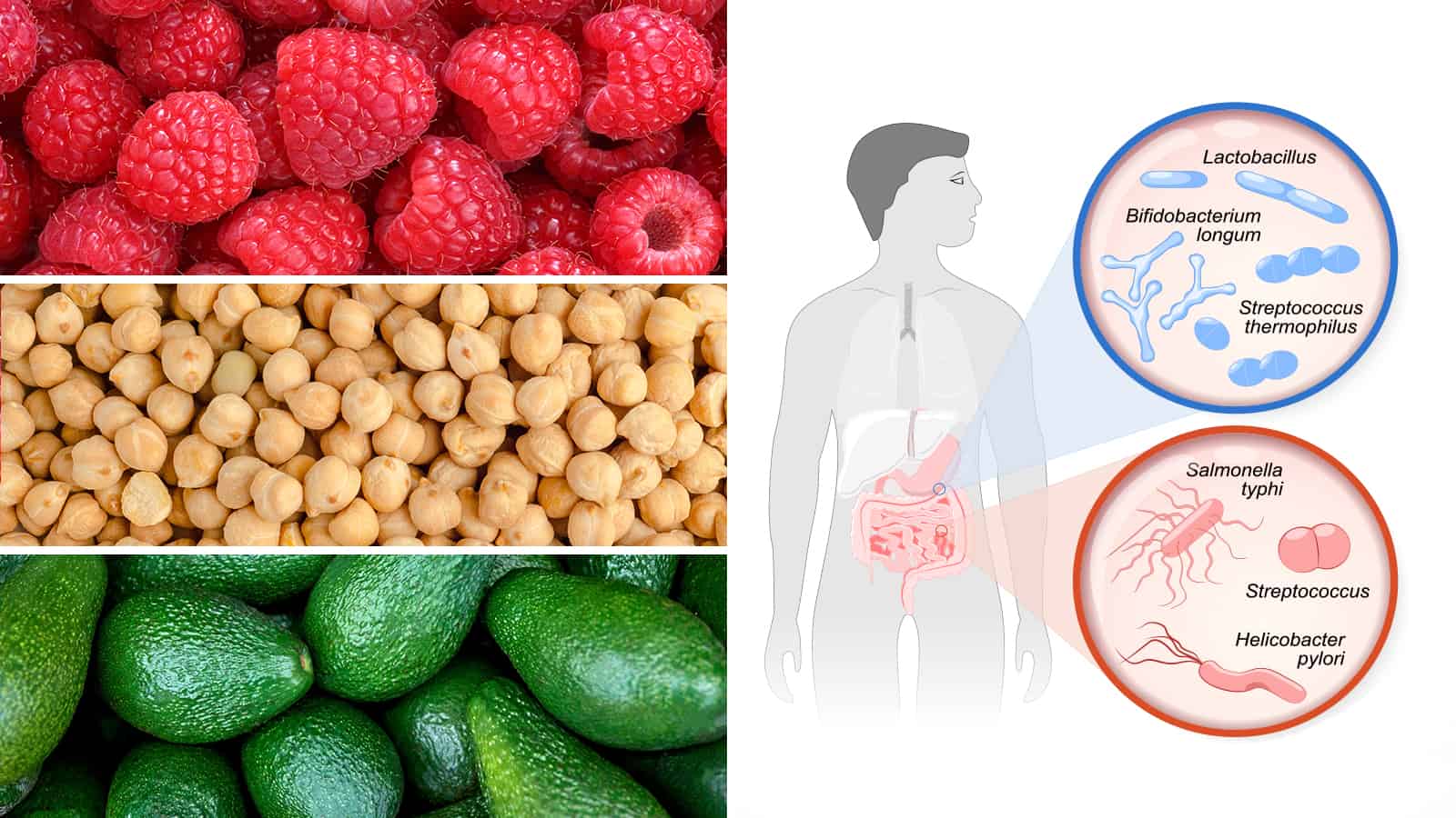 20 Fiber-rich Foods That Improve Gut Health