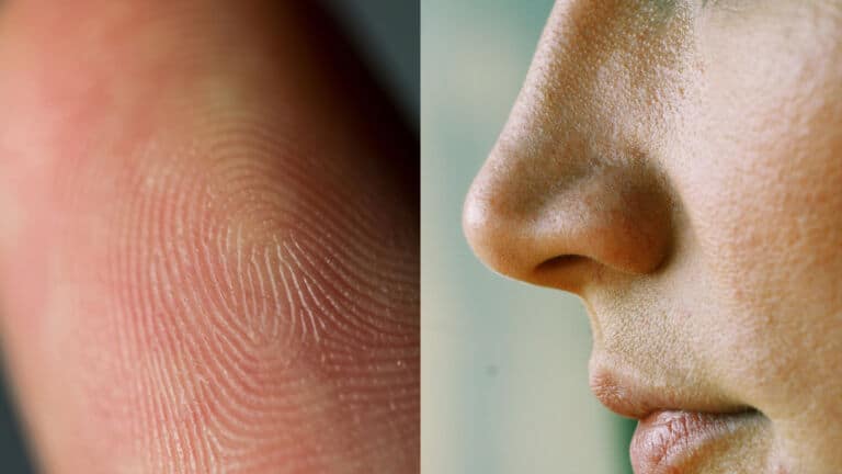 sense of touch