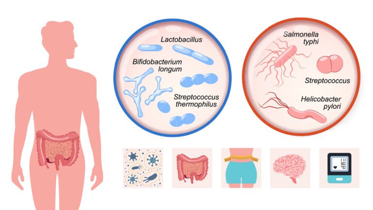 probiotics