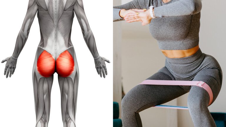 glutes