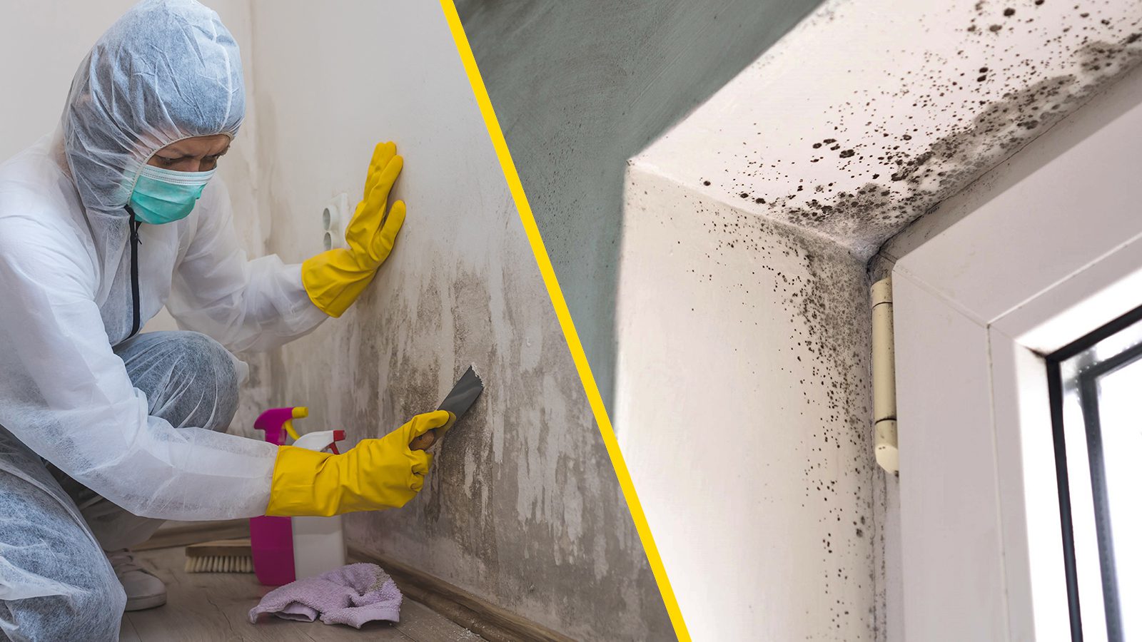 11 Tips for Mold Detox, According to Science