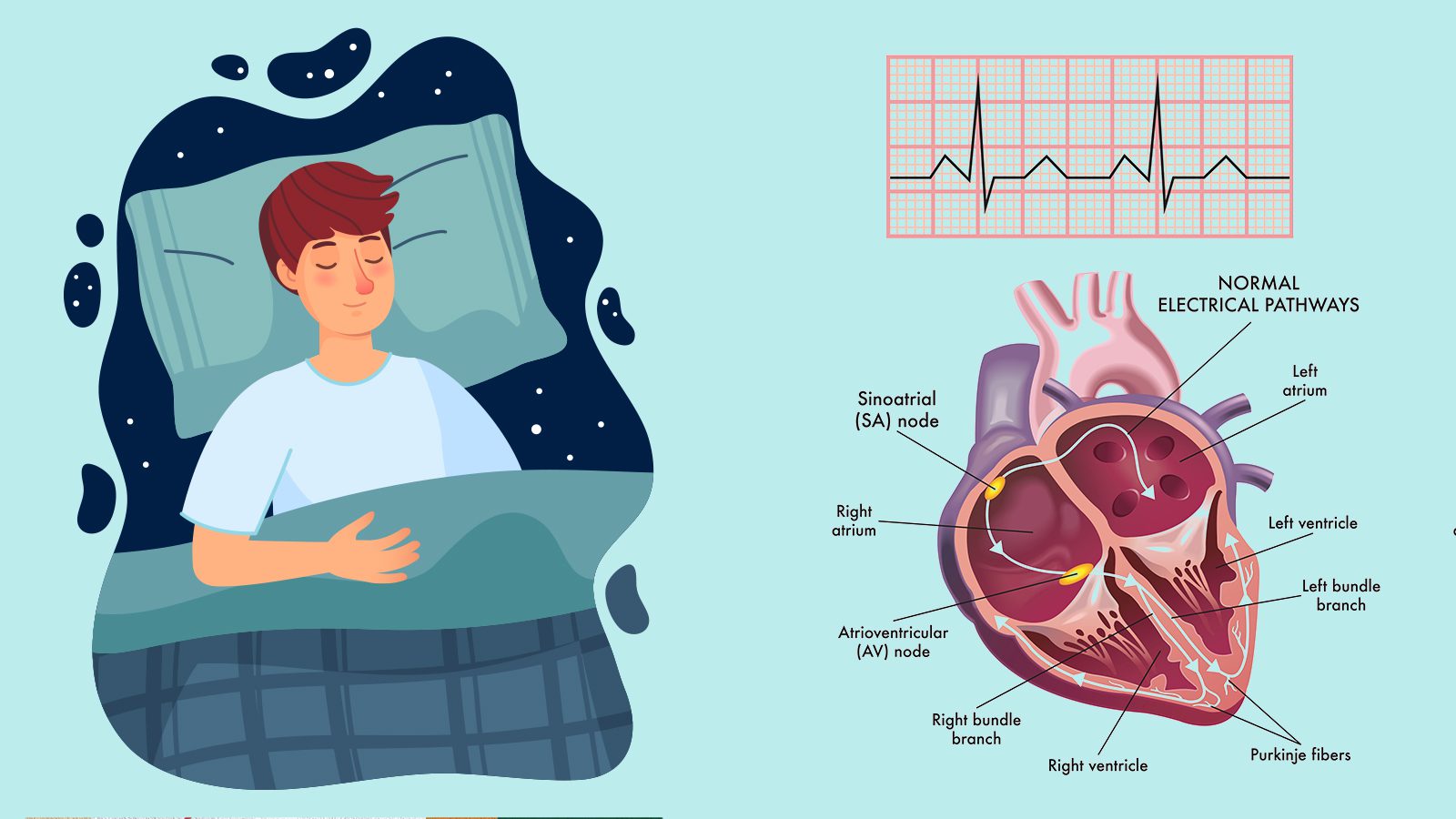 AHA Study Confirms That Sleeping Well Improves Heart Health 