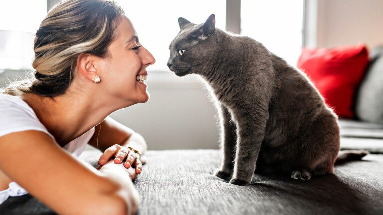cats