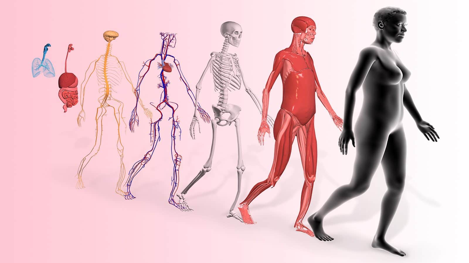 Science Explains What Happens To Your Body When You Walk 10000 Steps Every Day