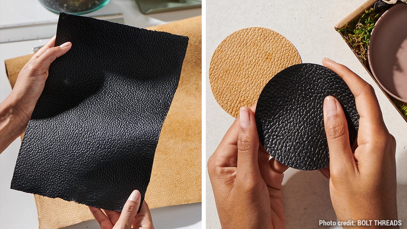 Fashion Turns To Vegan Mushroom Leather For New Styles