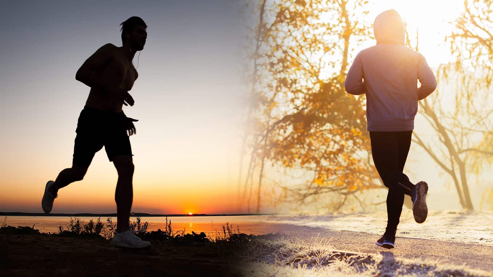 Study Explains if You Should Exercise in the Morning or Evening