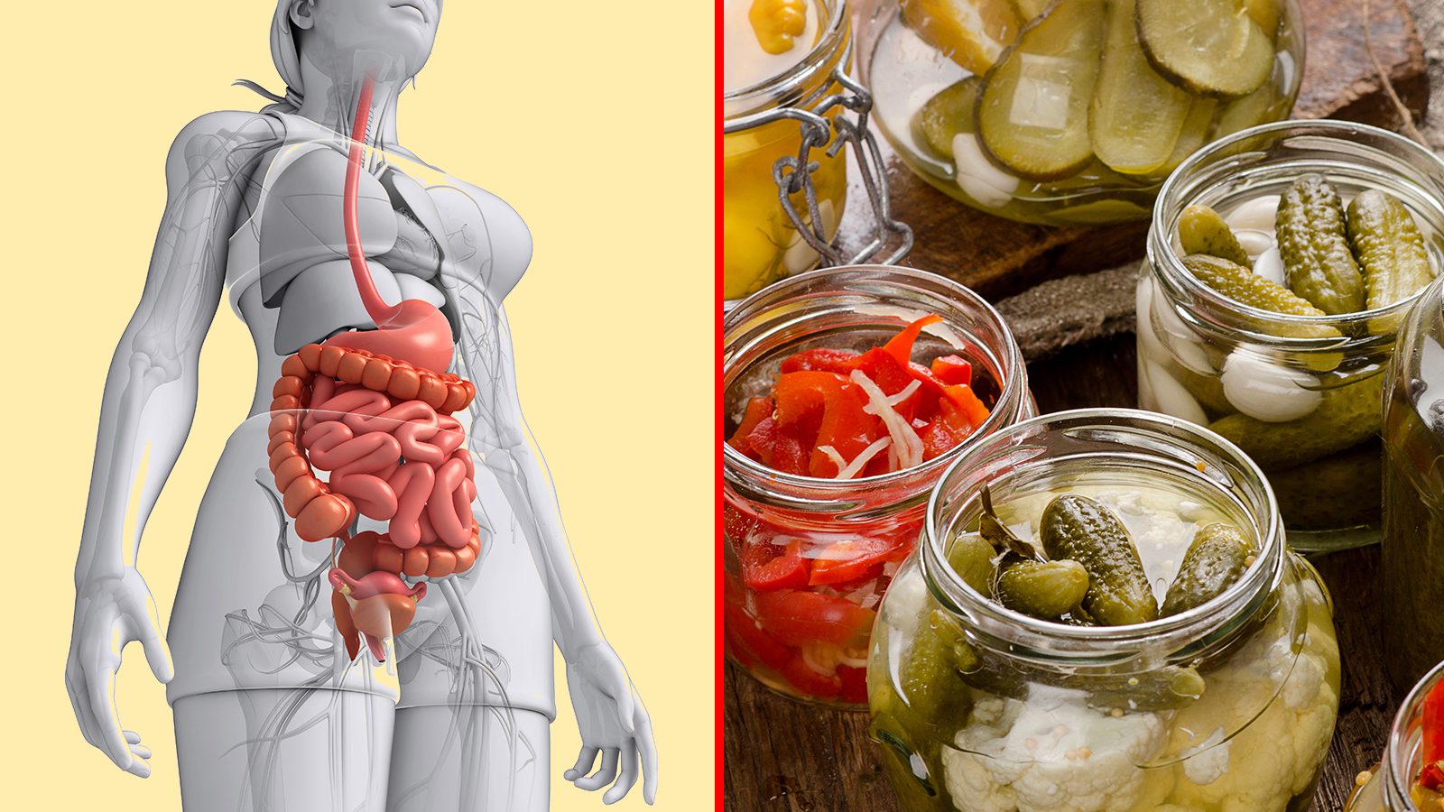 How to Improve Your Gut Health in Under 30 Minutes a Day