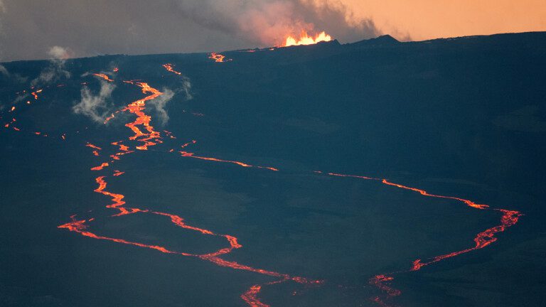 mauna loa