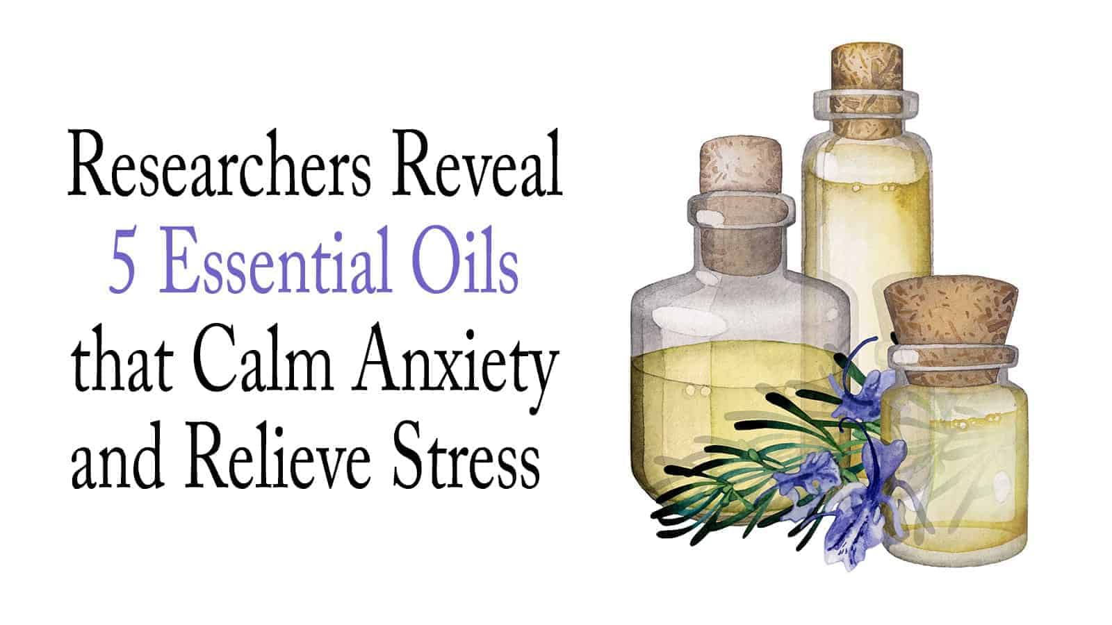 Researchers Reveal 5 Essential Oils that Calm Anxiety and Relieve Stress