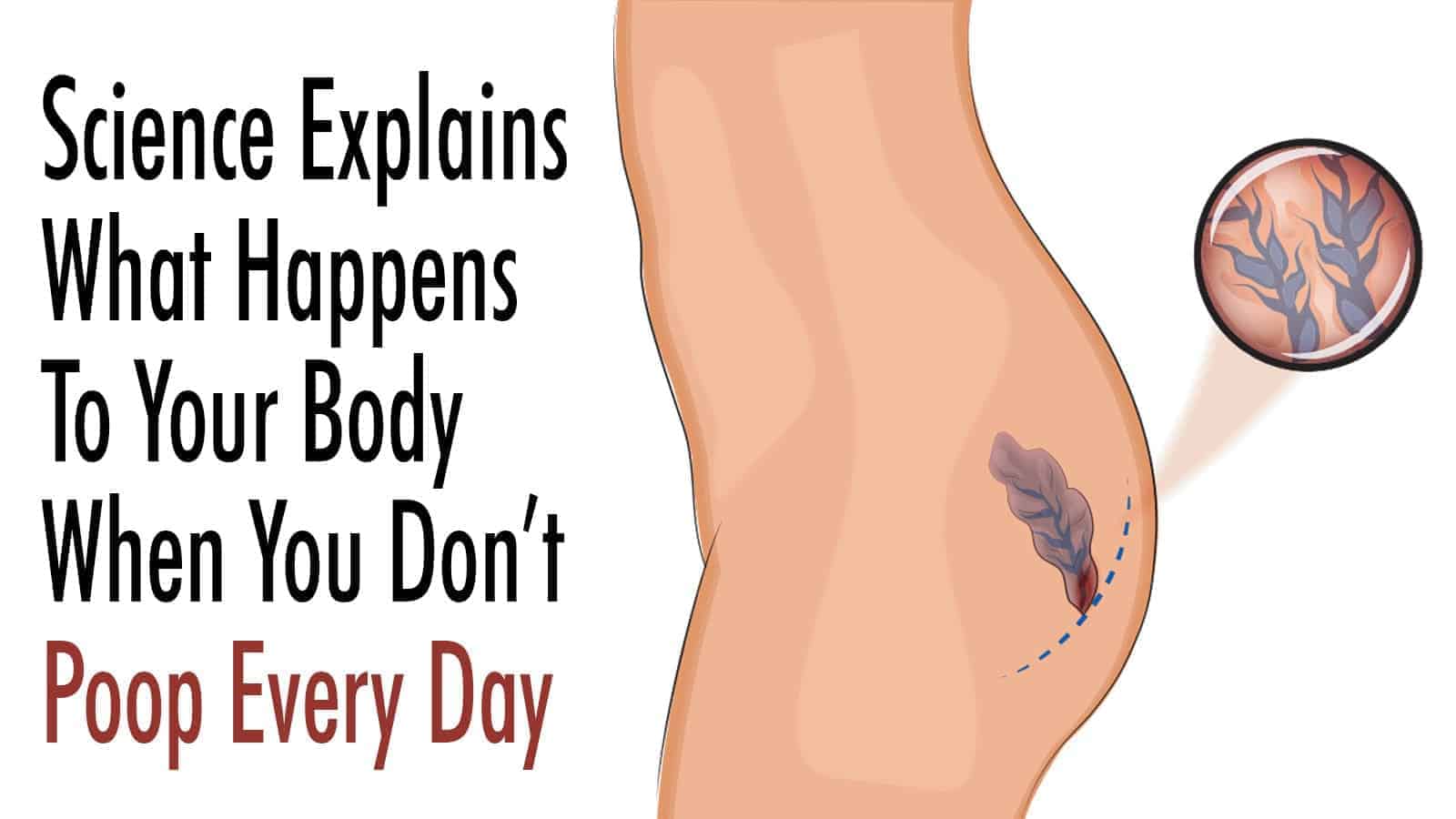 Science Explains What Happens To Your Body When You Don’t Poop Every Day