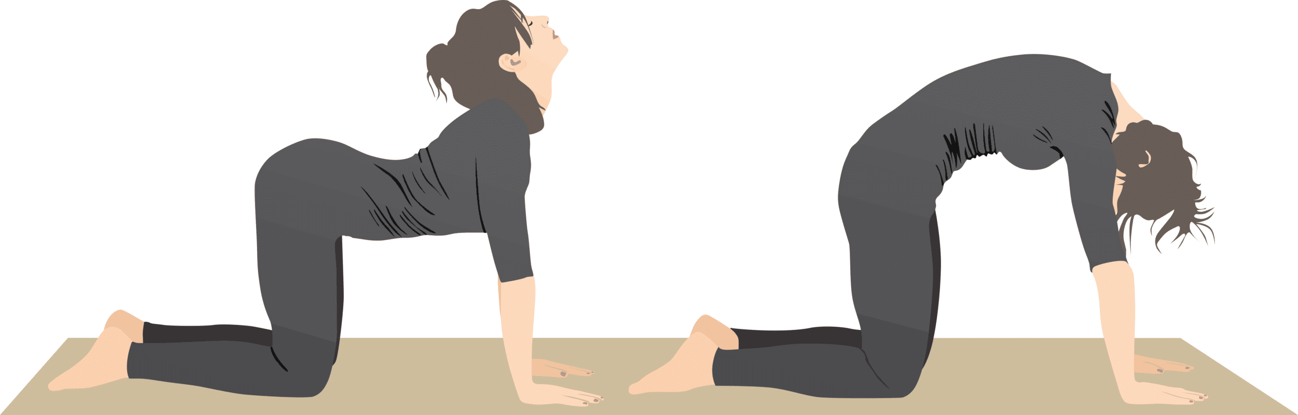 back pain exercises